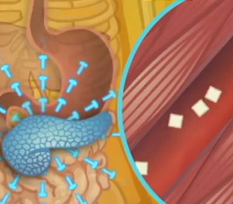 Diabetes course